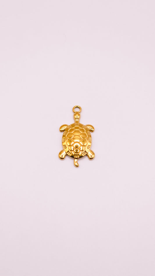 Grande tortue