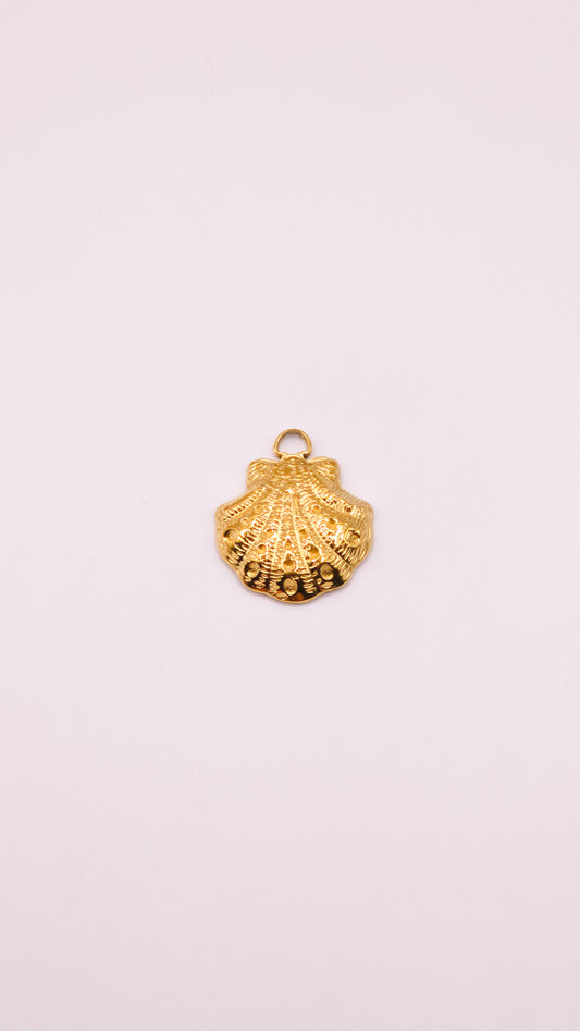 Coquillage